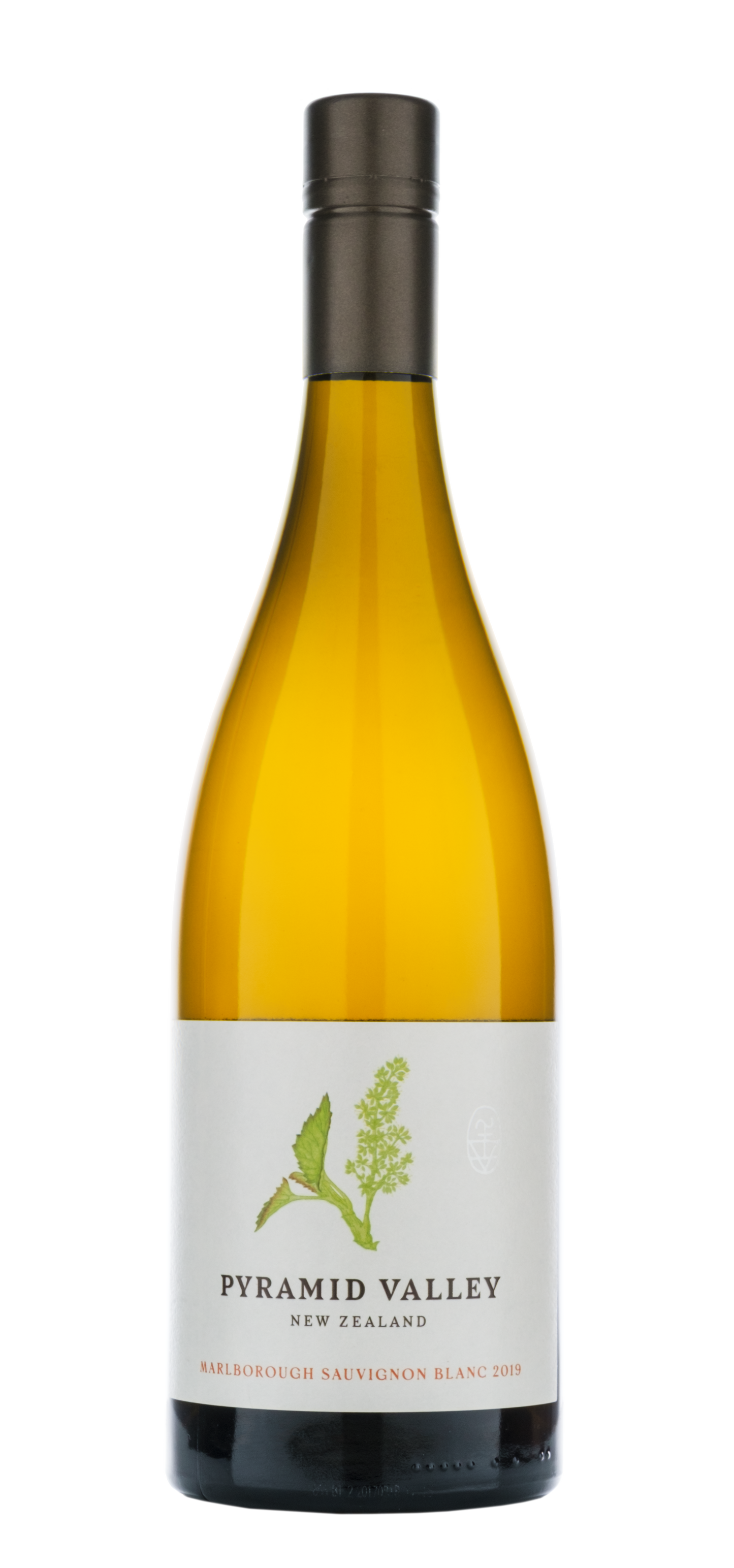 2019 Marlborough Sauvignon Blanc