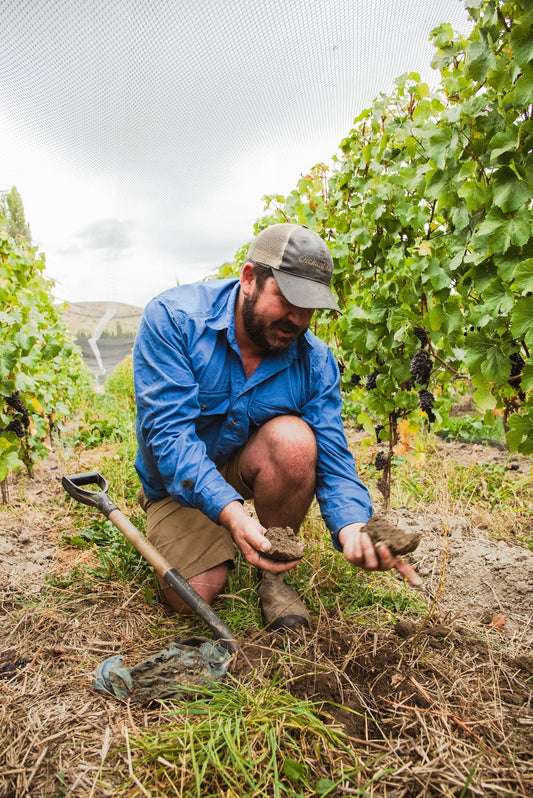 Soil your undies: a simple soil test