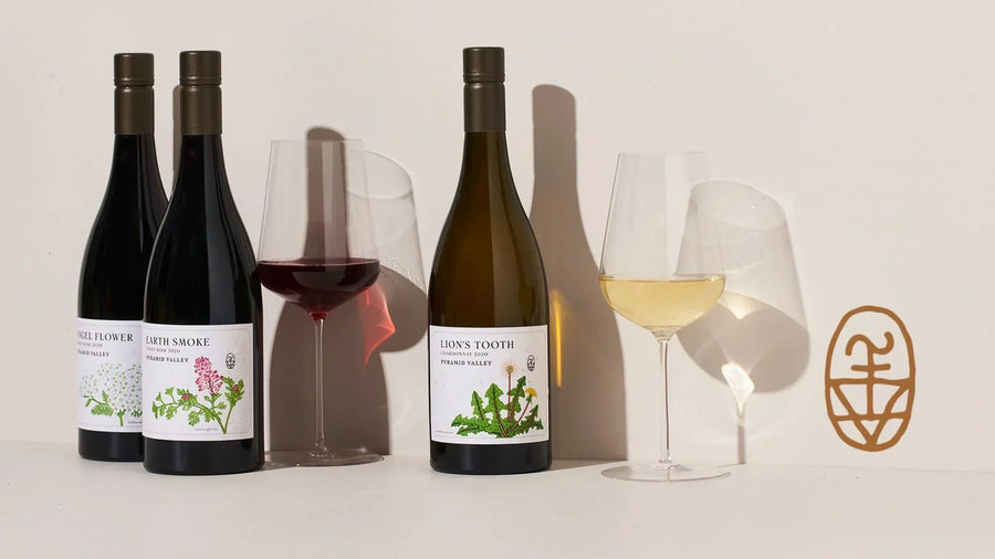 Crafting icons: the symbols behind Pyramid Valley's wine labels