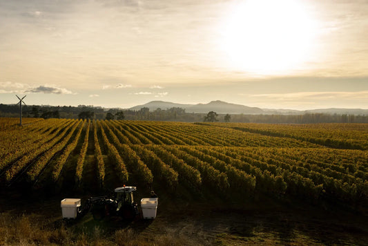 Kererū Road Chardonnay: Inspired by the great wines of the Mâconnais