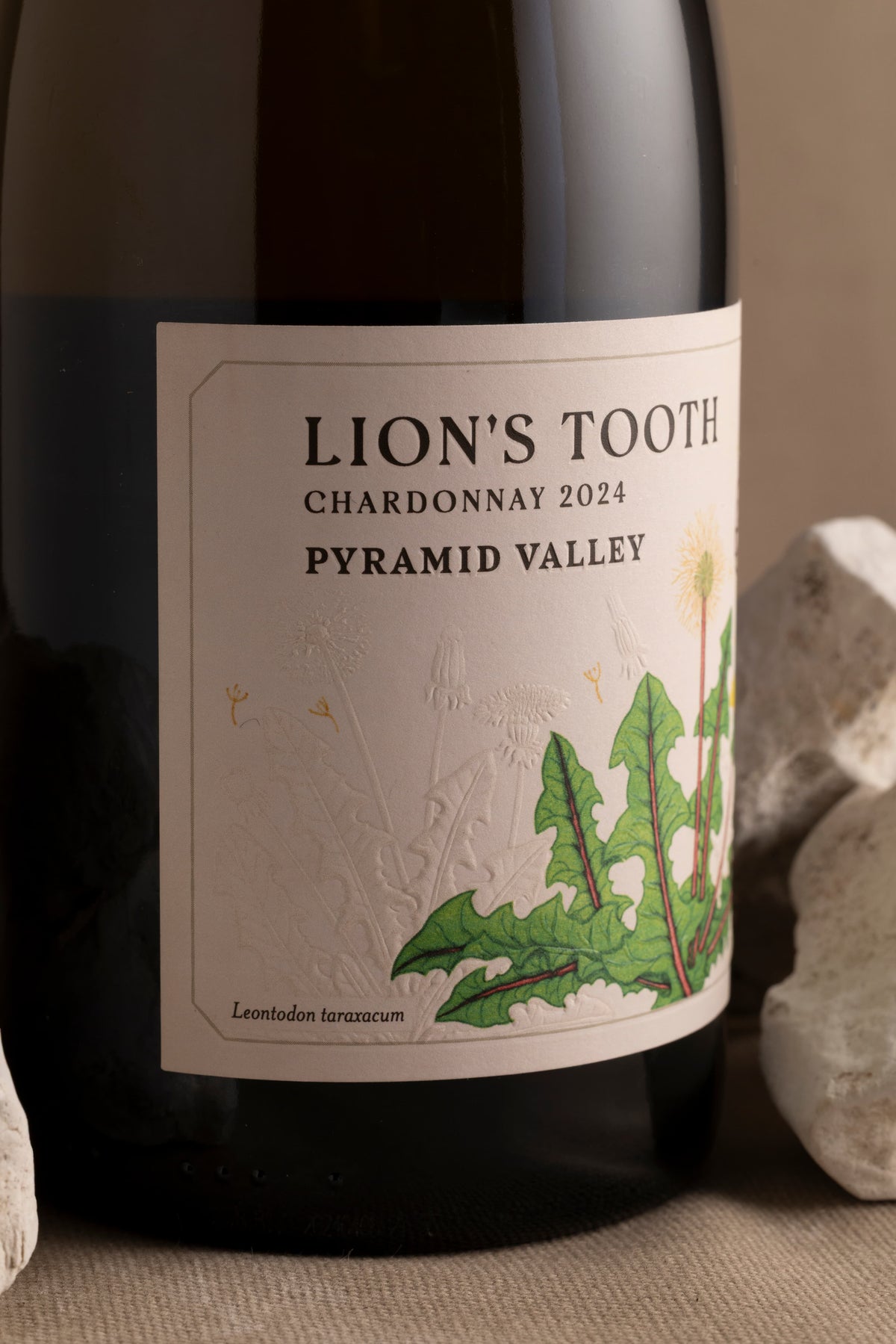 2024 Lion's Tooth Chardonnay