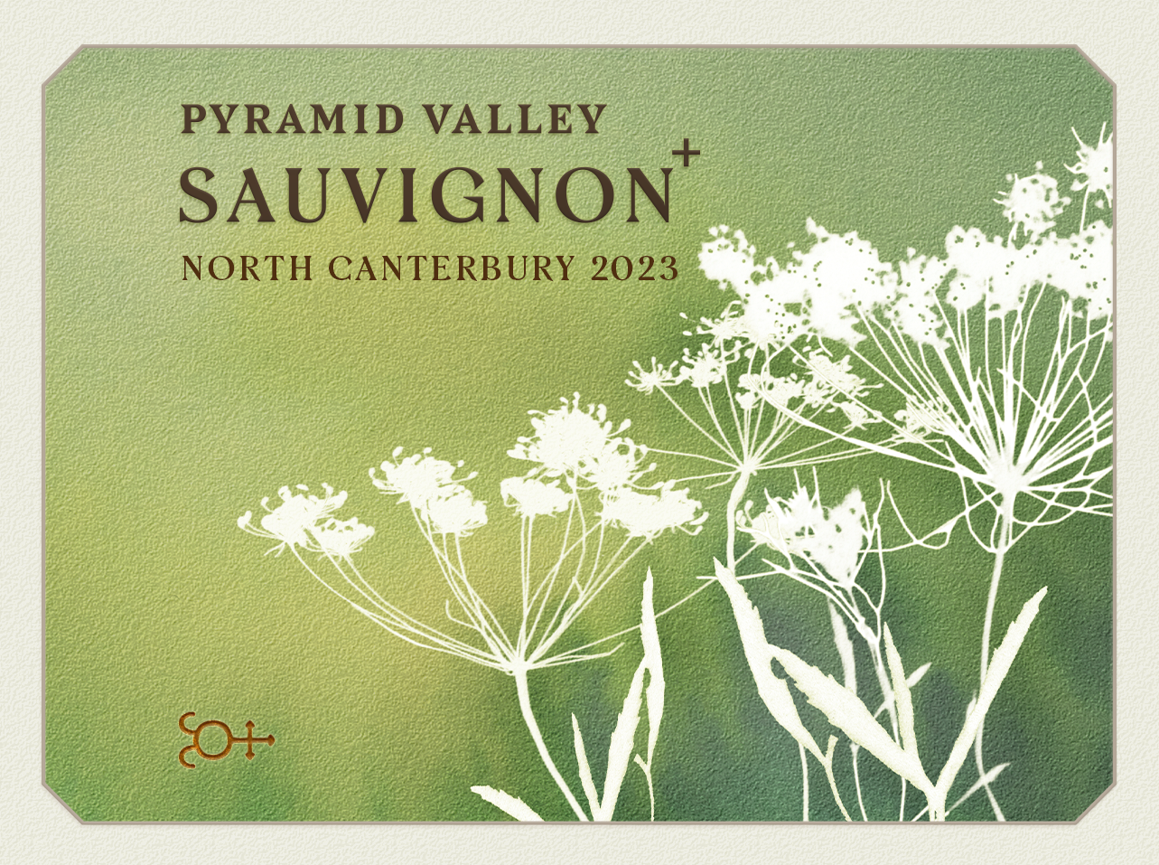 2023 Pyramid Valley North Canterbury Sauvignon +