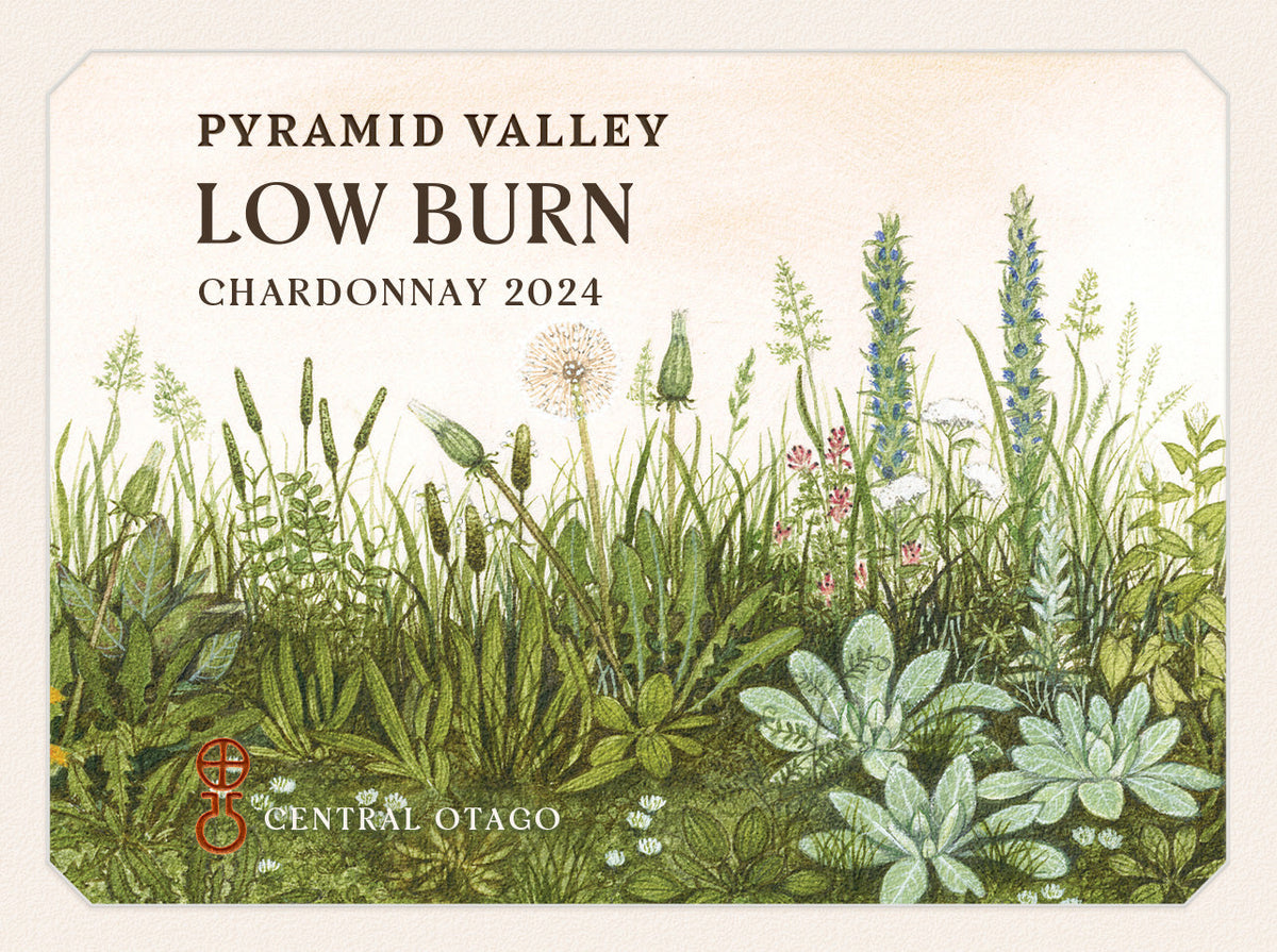 2024 Low Burn Chardonnay