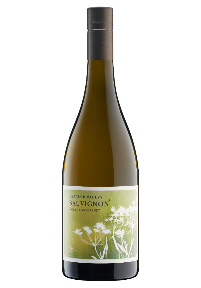2023 North Canterbury Sauvignon +