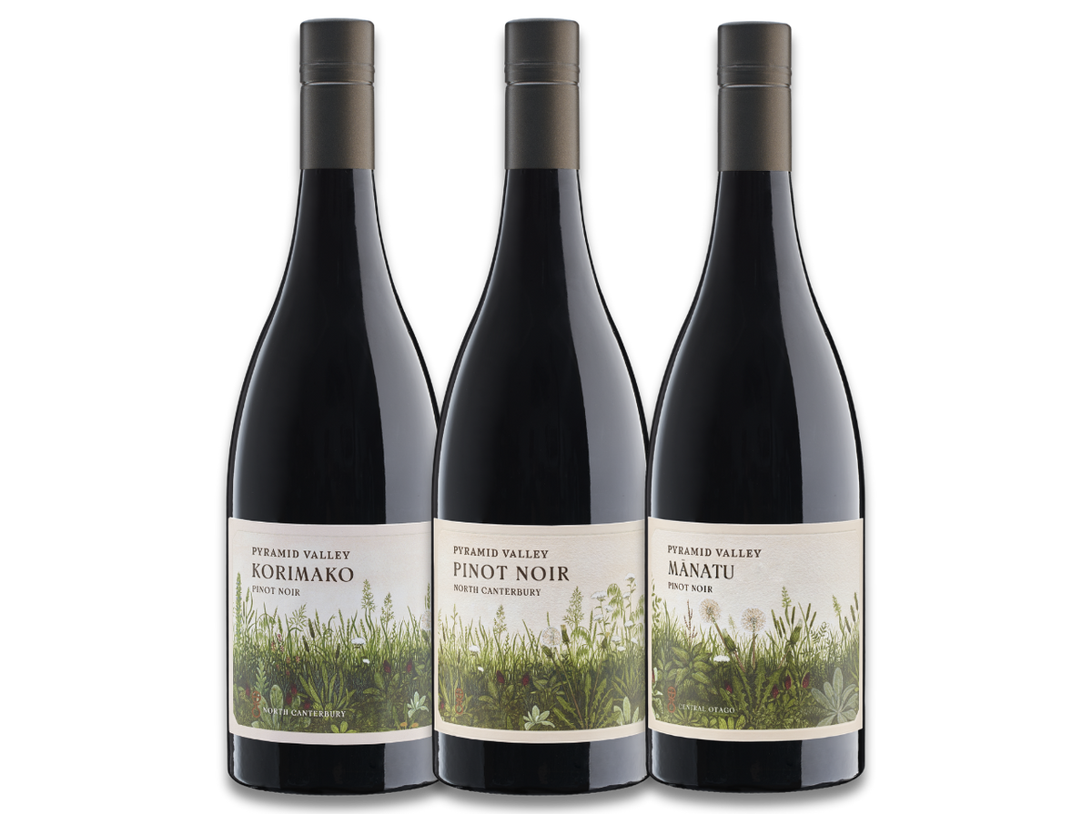 Pastures Pinot Noir 3-Pack