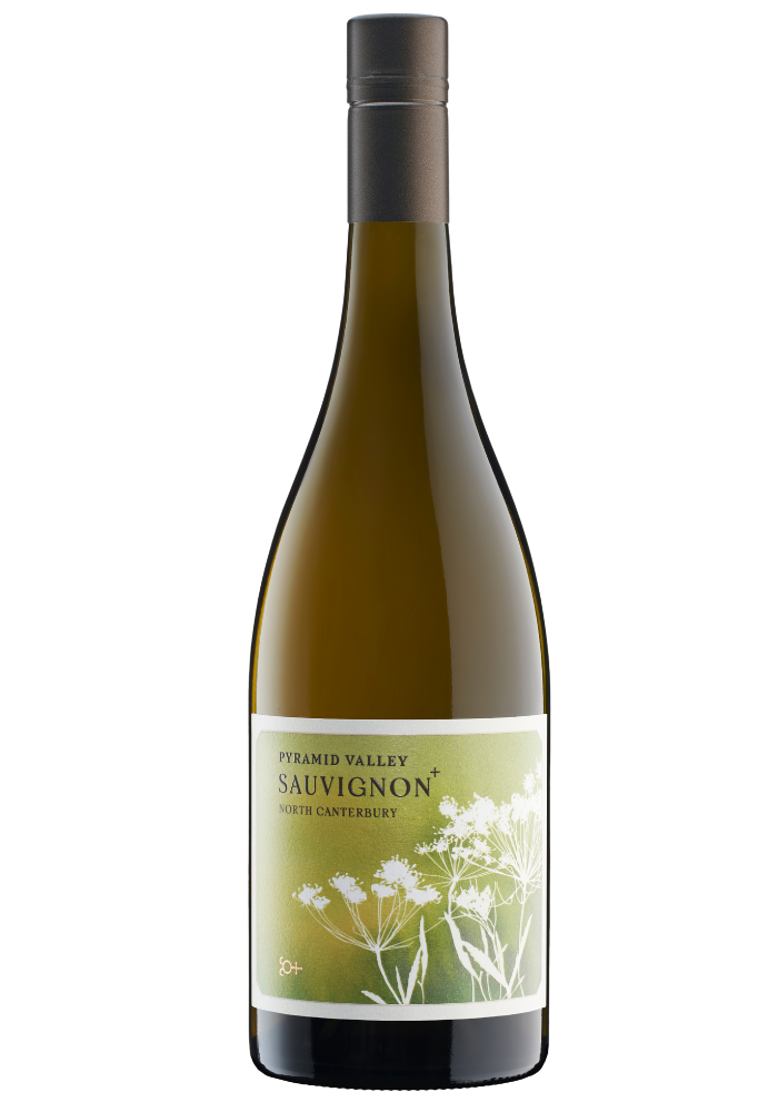 2024 North Canterbury Sauvignon +