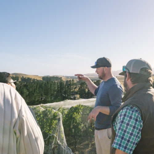 Pyramid Valley Botanicals Collection Tasting Experiences