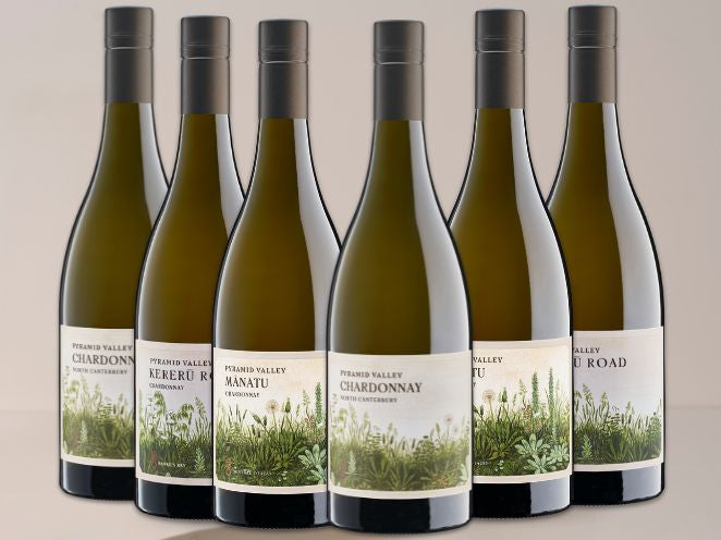 Summer of Chardonnay 6-pack